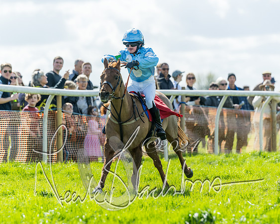 Open Pony Race  (96 of 131)