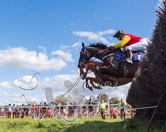 Race 3 - Novice Riders (21 of 130)