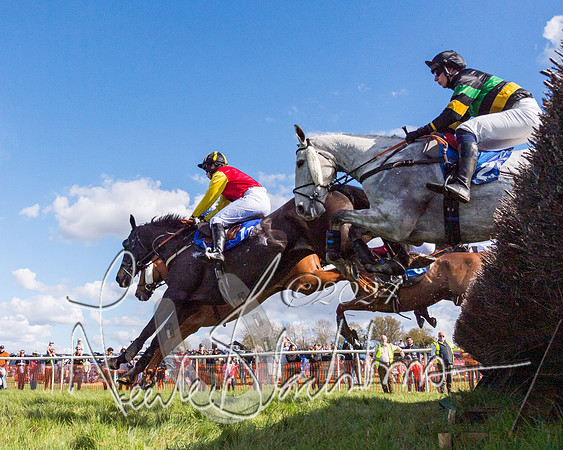 Race 3 - Novice Riders (26 of 130)