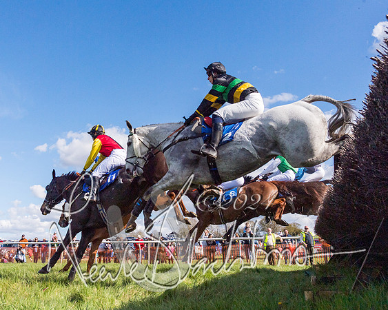 Race 3 - Novice Riders (29 of 130)