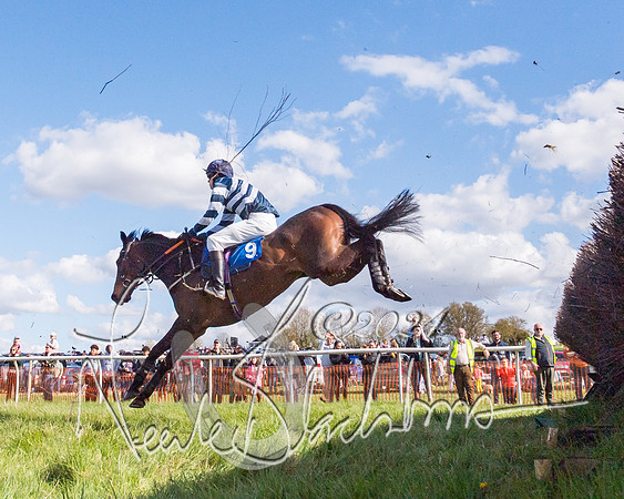 Race 3 - Novice Riders (44 of 130)