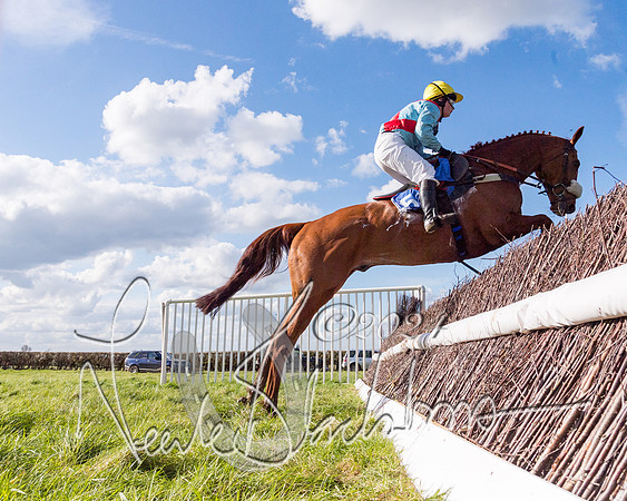 Race 3 - Novice Riders (112 of 130)