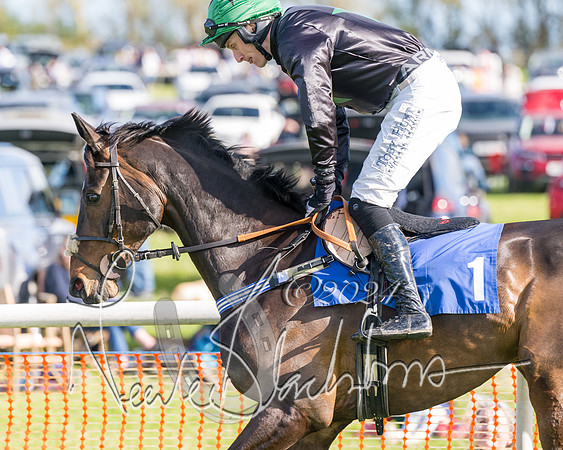Race 4  - Mixed Open (4 of 122)