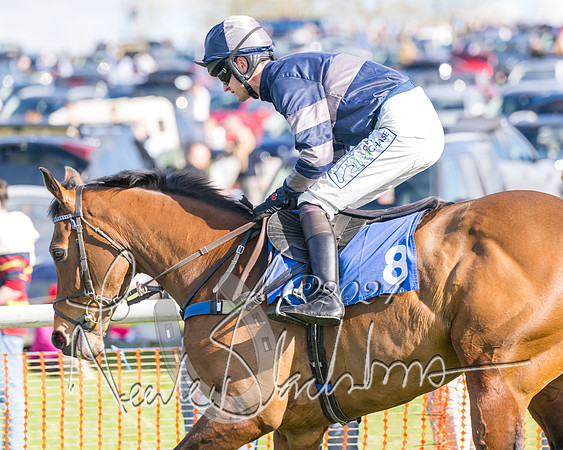 Race 4  - Mixed Open (6 of 122)