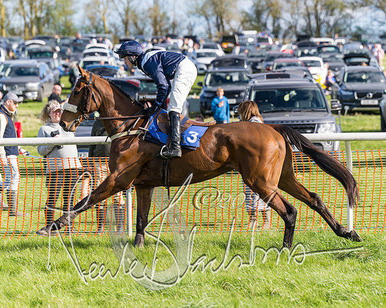 Race 4  - Mixed Open (20 of 122)