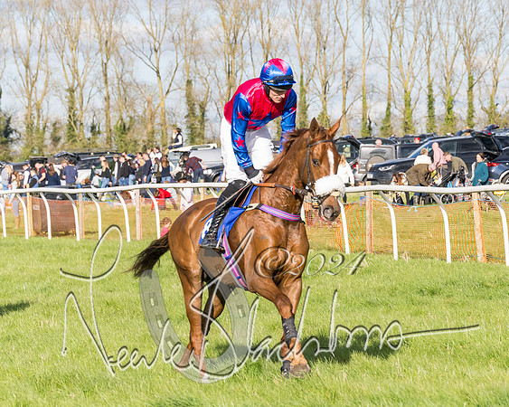 Race 5 - Restricted Race (2 of 132)