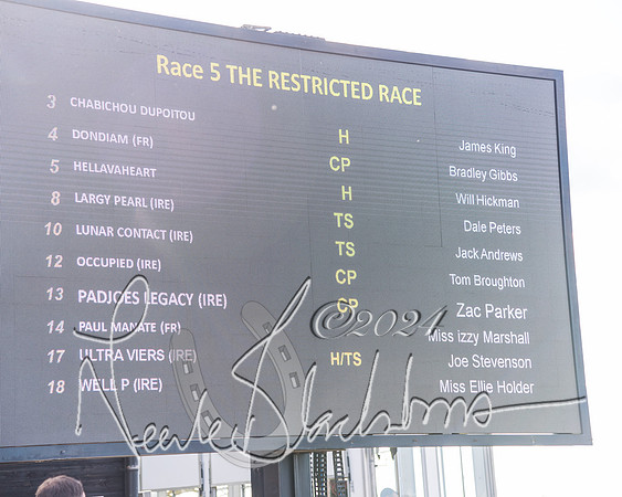 Race 5 - Restricted Race (1 of 132)