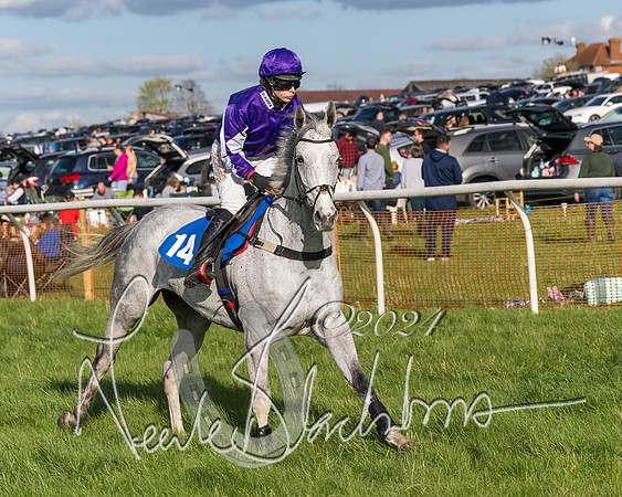 Race 5 - Restricted Race (7 of 132)