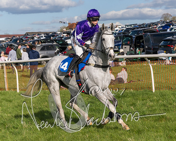 Race 5 - Restricted Race (8 of 132)