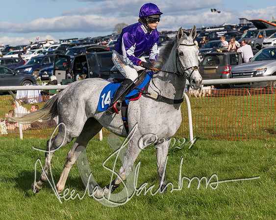 Race 5 - Restricted Race (9 of 132)