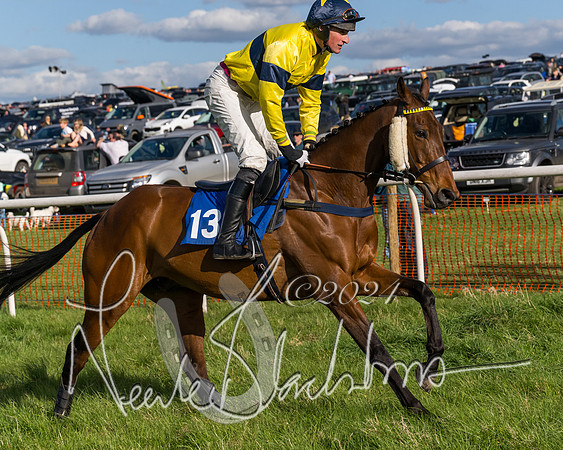 Race 5 - Restricted Race (10 of 132)