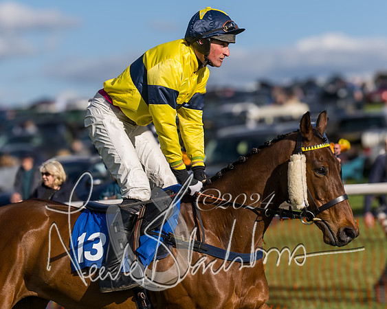 Race 5 - Restricted Race (12 of 132)