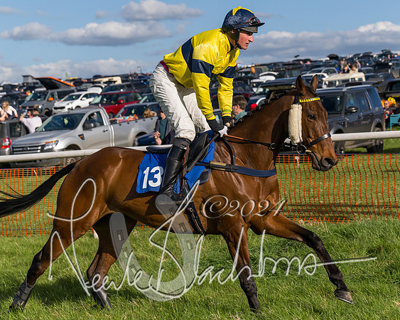 Race 5 - Restricted Race (11 of 132)