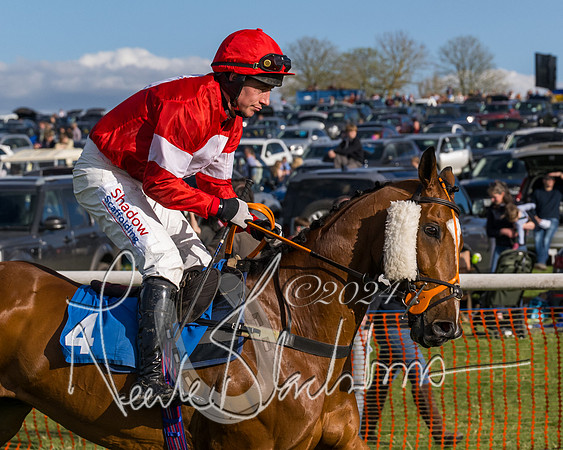 Race 5 - Restricted Race (14 of 132)