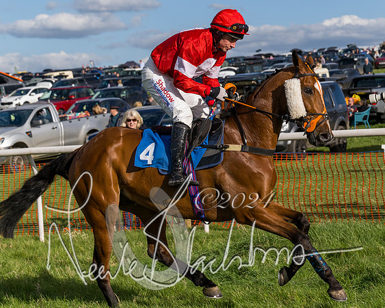 Race 5 - Restricted Race (13 of 132)