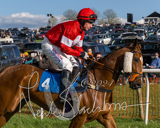 Race 5 - Restricted Race (15 of 132)