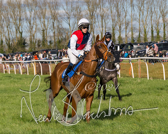 Race 5 - Restricted Race (18 of 132)