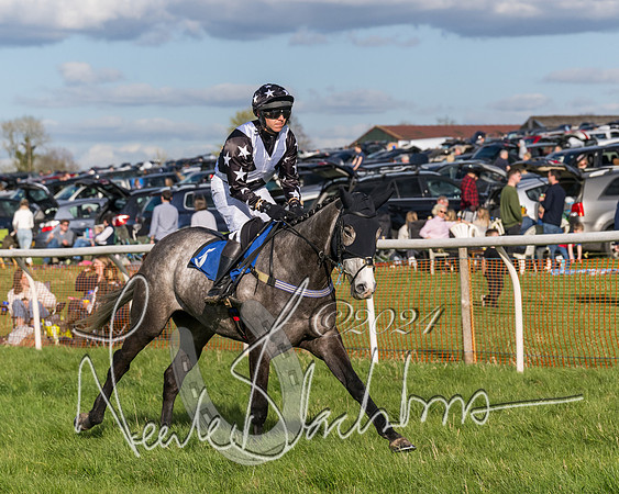 Race 5 - Restricted Race (22 of 132)