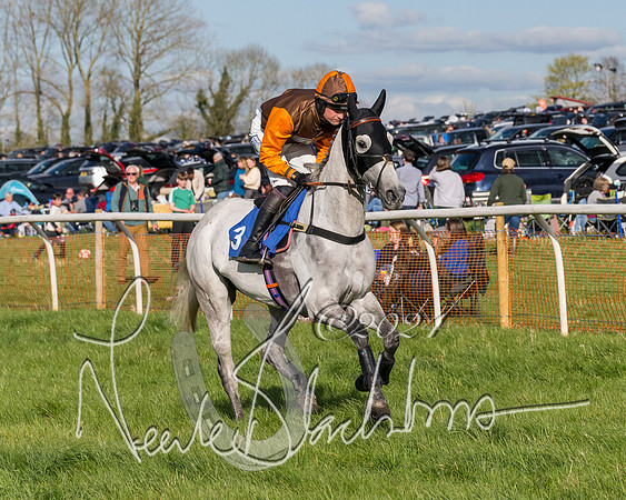 Race 5 - Restricted Race (24 of 132)