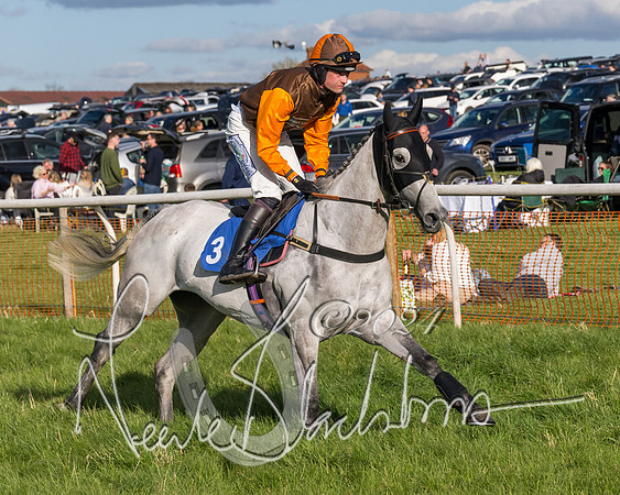 Race 5 - Restricted Race (27 of 132)