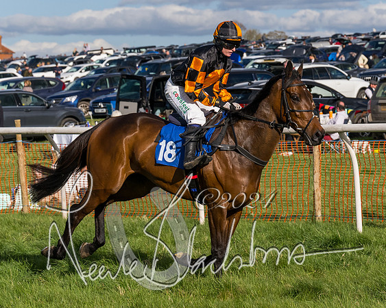 Race 5 - Restricted Race (30 of 132)