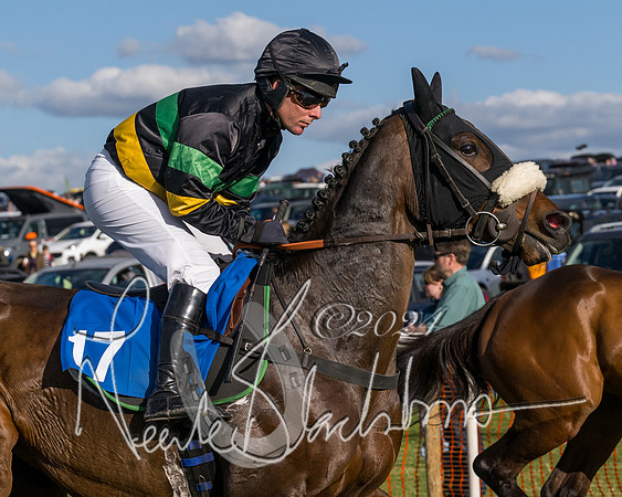 Race 5 - Restricted Race (32 of 132)