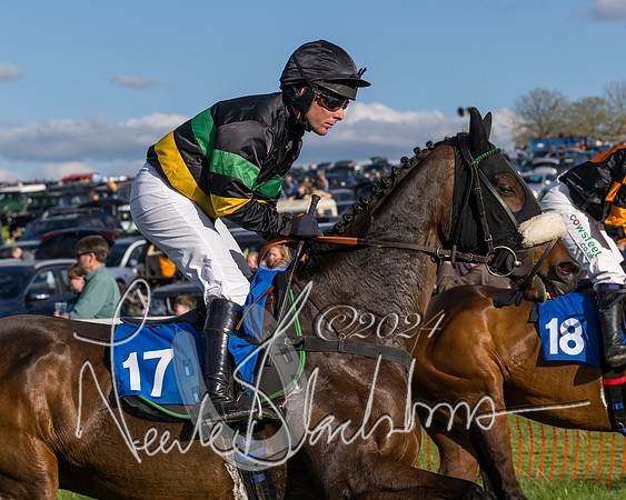 Race 5 - Restricted Race (33 of 132)