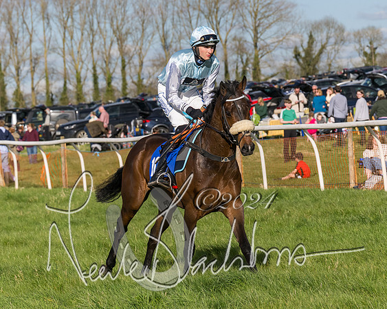 Race 5 - Restricted Race (34 of 132)