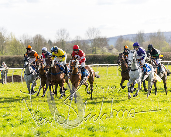 Race 5 - Restricted Race (39 of 132)