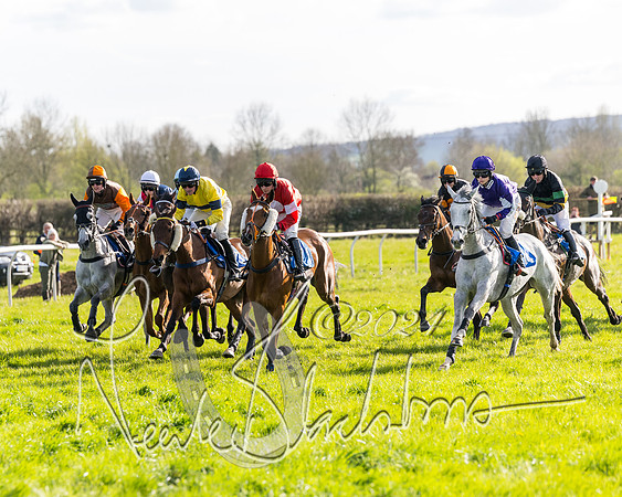 Race 5 - Restricted Race (40 of 132)