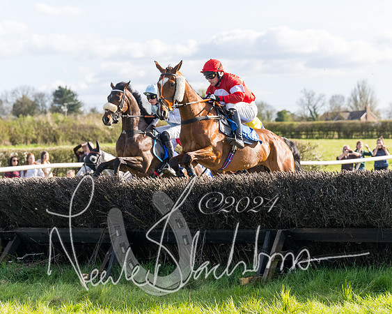 Race 5 - Restricted Race (42 of 132)