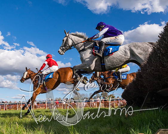 Race 5 - Restricted Race (44 of 132)