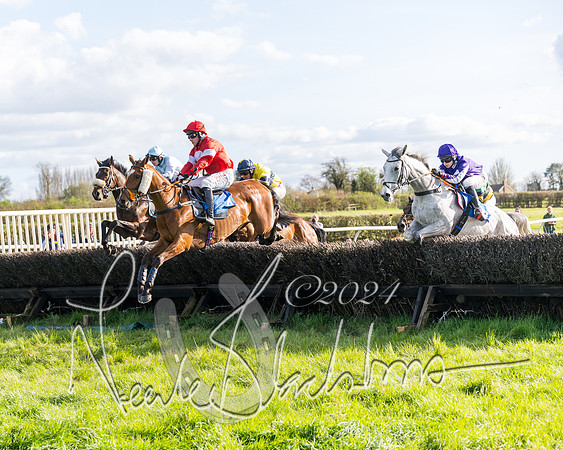 Race 5 - Restricted Race (47 of 132)