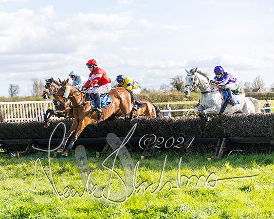 Race 5 - Restricted Race (48 of 132)