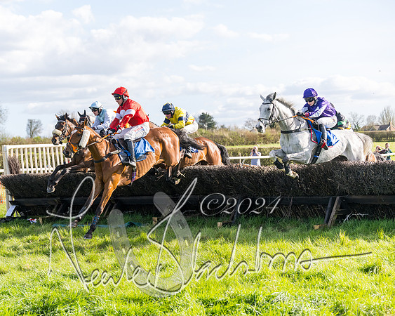 Race 5 - Restricted Race (49 of 132)