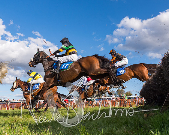 Race 5 - Restricted Race (52 of 132)