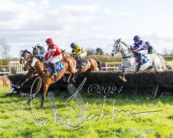 Race 5 - Restricted Race (50 of 132)