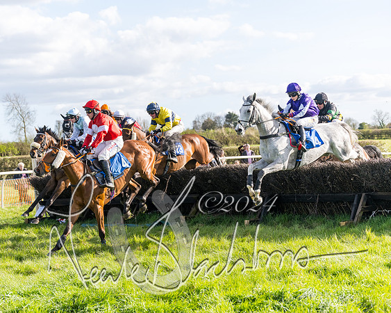 Race 5 - Restricted Race (51 of 132)