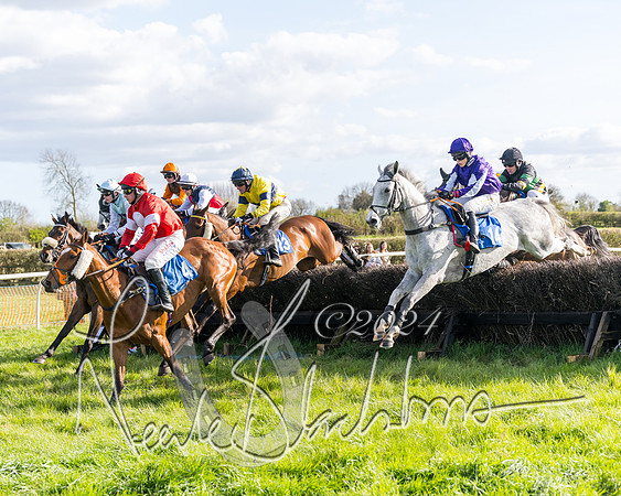 Race 5 - Restricted Race (53 of 132)