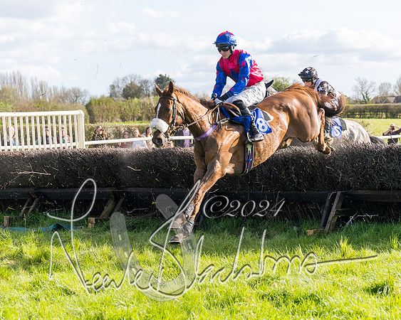 Race 5 - Restricted Race (54 of 132)