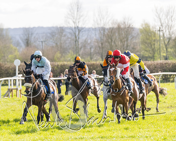Race 5 - Restricted Race (58 of 132)