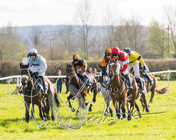 Race 5 - Restricted Race (59 of 132)