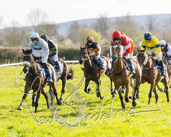 Race 5 - Restricted Race (60 of 132)