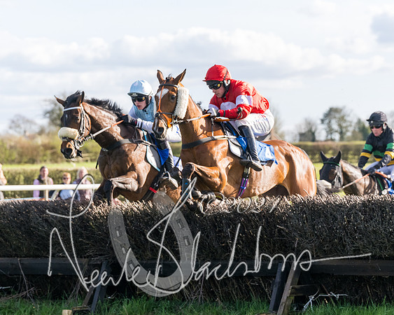 Race 5 - Restricted Race (64 of 132)