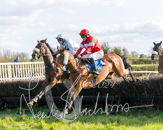 Race 5 - Restricted Race (68 of 132)