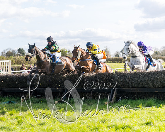 Race 5 - Restricted Race (70 of 132)