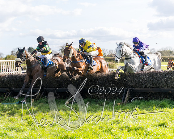 Race 5 - Restricted Race (72 of 132)