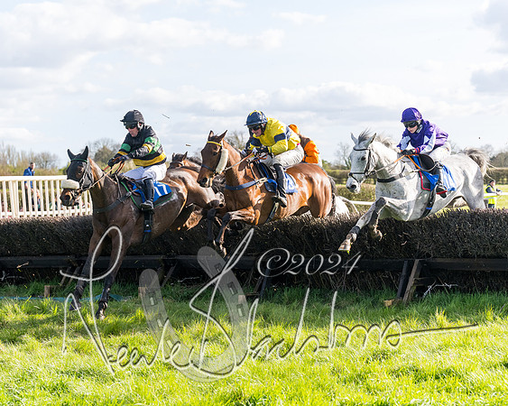 Race 5 - Restricted Race (73 of 132)