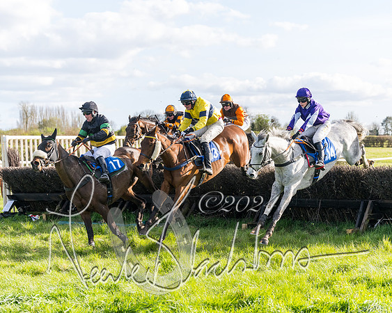 Race 5 - Restricted Race (76 of 132)