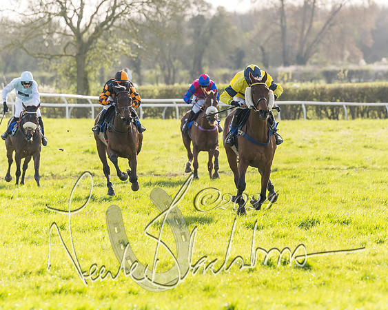 Race 5 - Restricted Race (83 of 132)